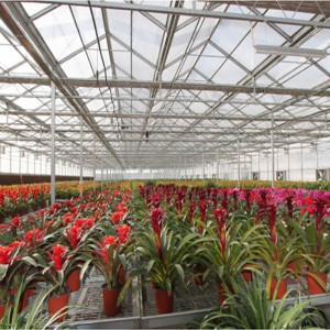 生態餐廳溫室價格 山東生態餐廳溫室 廠家直銷 山東廠家