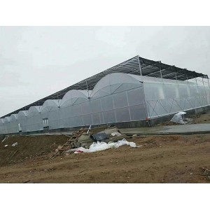 山東薄膜連棟溫室設(shè)計