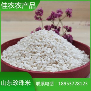山東珍珠米 山東大米