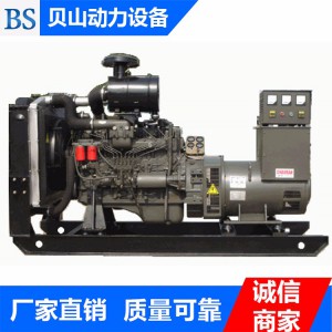 濰柴200千瓦發(fā)電機(jī)組 柴油發(fā)電機(jī)組生產(chǎn)廠(chǎng)家