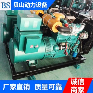 濰柴200千瓦發(fā)電機(jī)組 柴油發(fā)電機(jī)組生產(chǎn)廠(chǎng)家