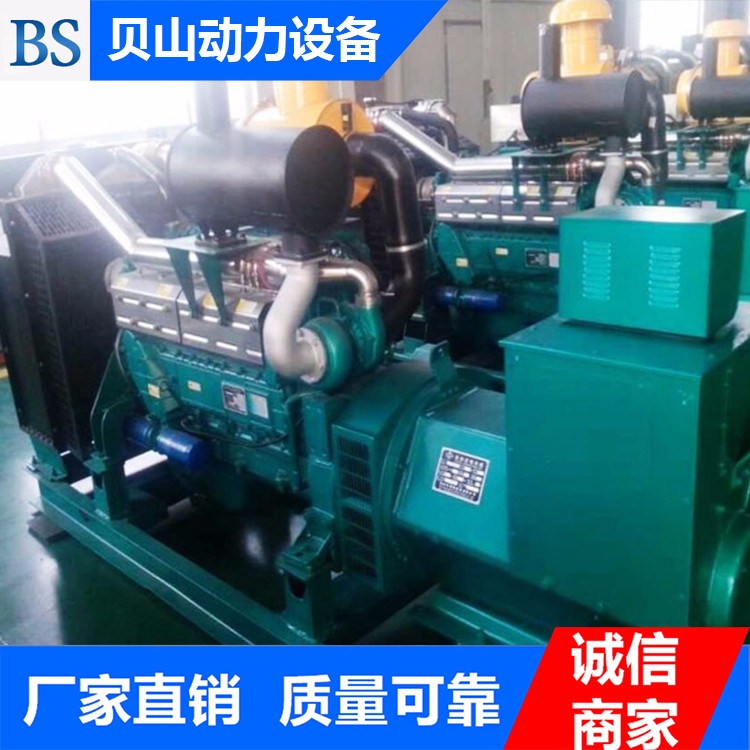 濰柴200千瓦發(fā)電機(jī)組 柴油發(fā)電機(jī)組生產(chǎn)廠家
