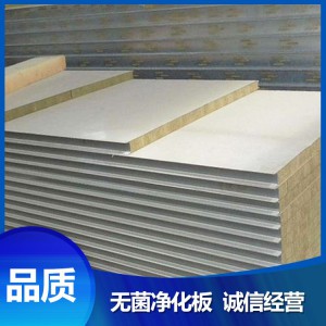 菏澤 廠家直銷 無菌凈化板 價格低廉