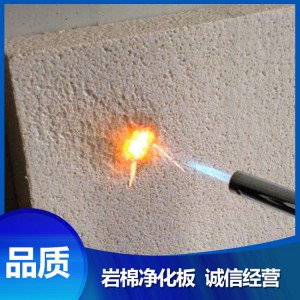 價格低廉 巖棉凈化板 菏澤廠家直銷