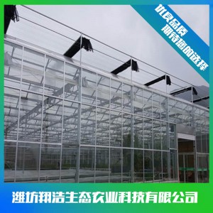 文洛式玻璃溫室建造商 連棟玻璃溫室大棚建設(shè) 玻璃溫室安裝設(shè)計