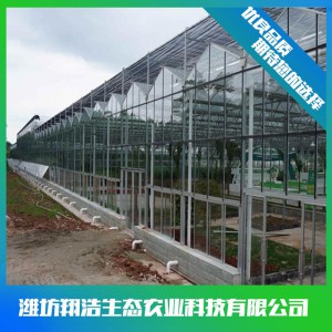 文洛式玻璃溫室建造商 連棟玻璃溫室大棚建設(shè) 玻璃溫室安裝設(shè)計