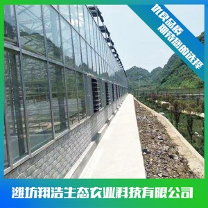 文洛式玻璃溫室建造商 連棟玻璃溫室大棚建設(shè) 玻璃溫室安裝設(shè)計