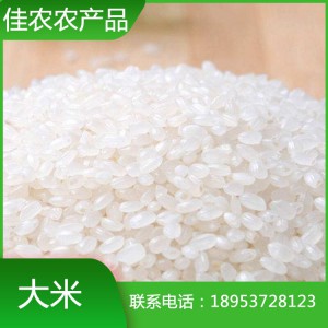 山東米廠(chǎng)現(xiàn)貨直銷(xiāo)大米 珍珠米 圓粒大米 魚(yú)臺(tái)特產(chǎn)