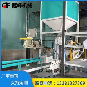 冠峰機械直銷包裝碼垛機 全自動糧食碼垛機 高位大型碼垛機