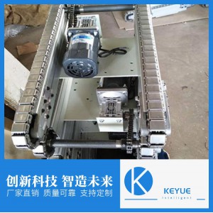 珂玥鏈條輸送線 實力生產(chǎn)廠家 專業(yè)鏈條輸送線