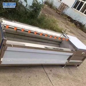 毛輥土豆去皮清洗機  紅薯去污清洗機