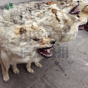 仿真狼 仿真動物模型廠家供應  廠家直銷  仿真動物  逼真仿真動物