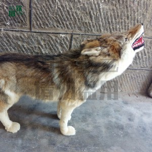 仿真狼 仿真動物模型廠家供應  廠家直銷  仿真動物  逼真仿真動物