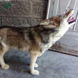 仿真狼 仿真動物模型廠家供應  廠家直銷  仿真動物  逼真仿真動物