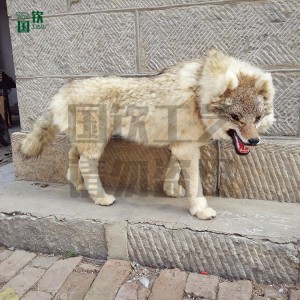 仿真狼 仿真動物模型廠家供應  廠家直銷  仿真動物  逼真仿真動物