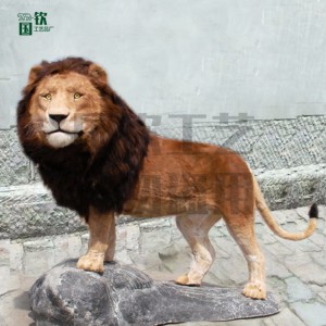 仿真皮毛動(dòng)物 獅子 影視道具 飾品擺件