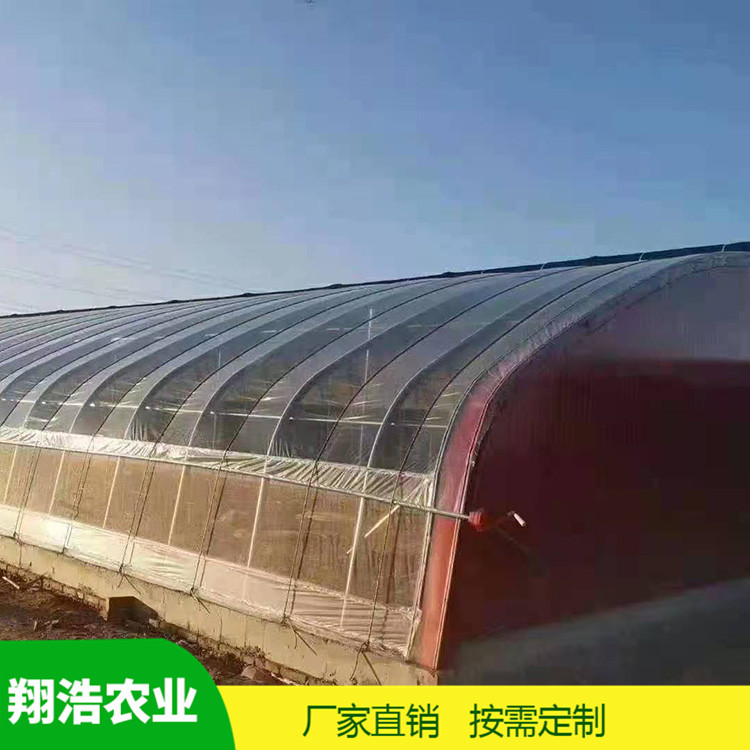 河北育苗單體拱棚 熱鍍鋅橢圓管拱棚 簡易單體拱棚溫室大棚定制
