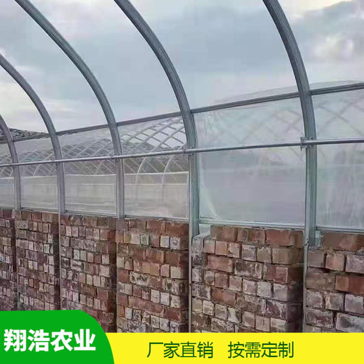 河北育苗單體拱棚 熱鍍鋅橢圓管拱棚 簡易單體拱棚溫室大棚定制