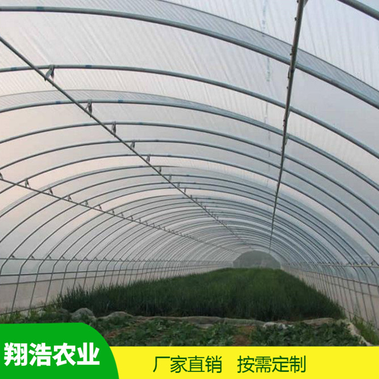 河北育苗單體拱棚 蔬菜薄膜拱形溫室 簡易單體拱棚溫室大棚定制