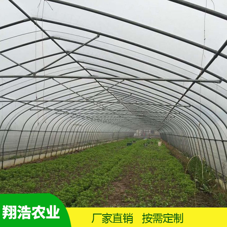 河北育苗單體拱棚 熱鍍鋅橢圓管拱棚 簡易單體拱棚溫室大棚定制