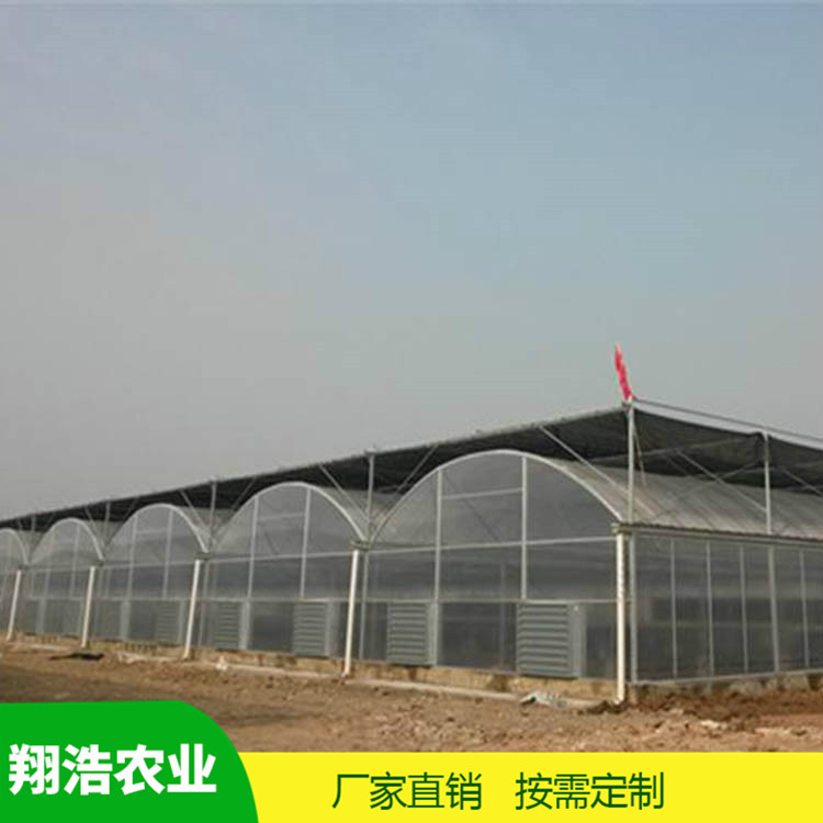 山西育苗單體拱棚 熱鍍鋅橢圓管拱棚 簡(jiǎn)易單體拱棚溫室大棚定制