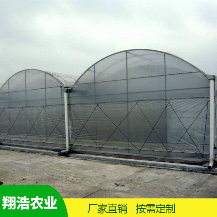 河北育苗單體拱棚 熱鍍鋅橢圓管拱棚 簡易單體拱棚溫室大棚定制