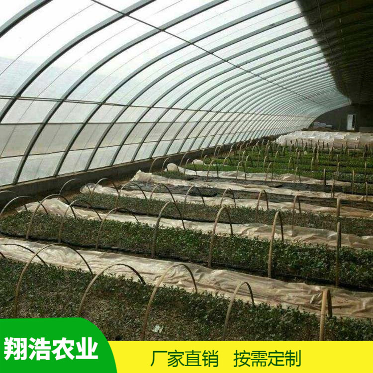 河北育苗單體拱棚 熱鍍鋅橢圓管拱棚 簡易單體拱棚溫室大棚定制