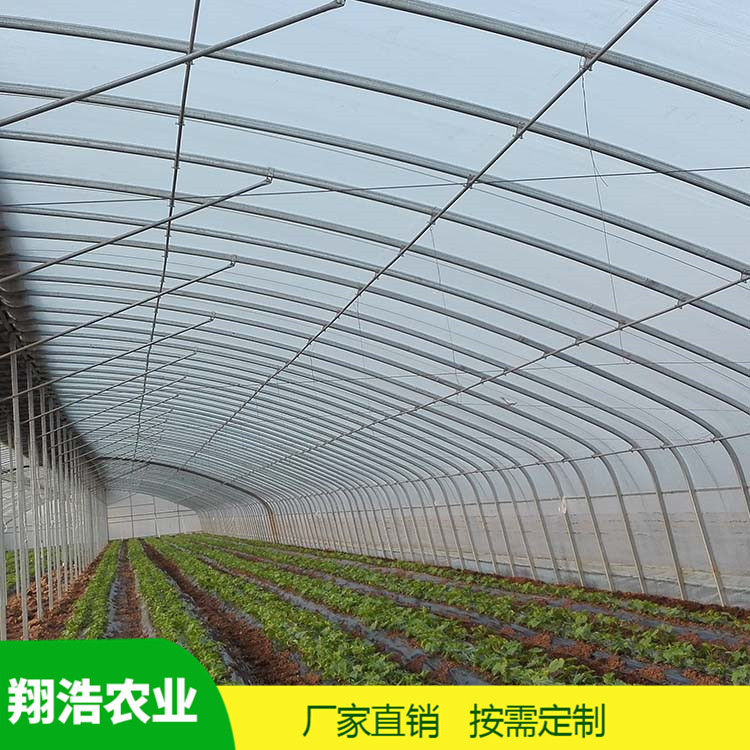 山西育苗單體拱棚 熱鍍鋅橢圓管拱棚 簡(jiǎn)易單體拱棚溫室大棚定制