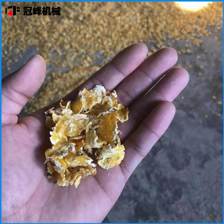 大型蒸汽玉米生產線 日產200噸 玉米壓片處理設備 免費安裝指導