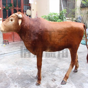 國欽皮毛動物工藝品加工定制仿真黃牛模型 可來圖設計制作各種大型動物模型
