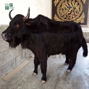 動物標本制作加工廠家 仿真牦牛模型定制