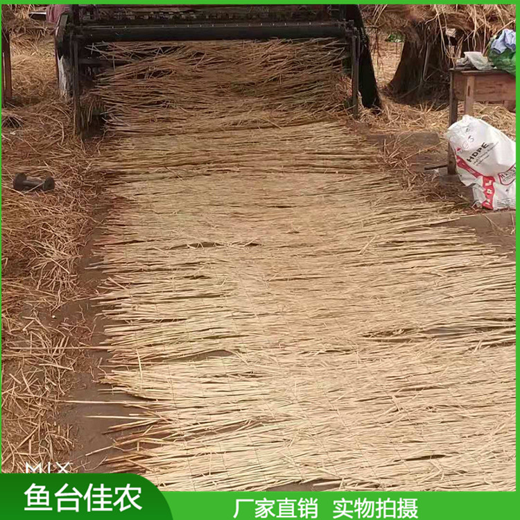 大棚保溫草苫子 稻草簾 防寒草簾子專業廠家加工定制