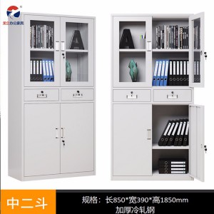 辦公室文件柜 鐵皮柜 財(cái)務(wù)憑證柜 資料柜加工定制