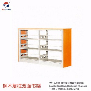 現(xiàn)代簡(jiǎn)約風(fēng) 二門更衣柜 品質(zhì)保障可定制 龍立辦公